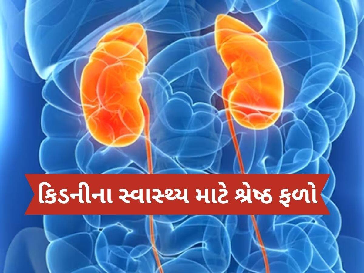 કિડનીની બધી ગંદકી નીકળી જશે બહાર, બસ ડાયટમાં સામેલ કરો આ 4 ફળ