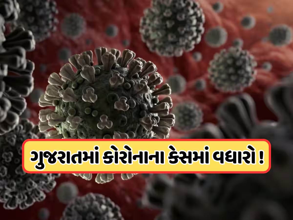 ગુજરાતમાં કોરોનાના 38 કેસ; હોસ્પિટલોમાં કોરોના વાર્ડ તૈયાર, જો જરૂર પડશે તો કરાશે આ કામ! ગુજરાતમાં કોરોનાના 38 કેસ; હોસ્પિટલોમાં કોરોના વાર્ડ તૈયાર, જો જરૂર પડશે તો કરાશે આ કામ!