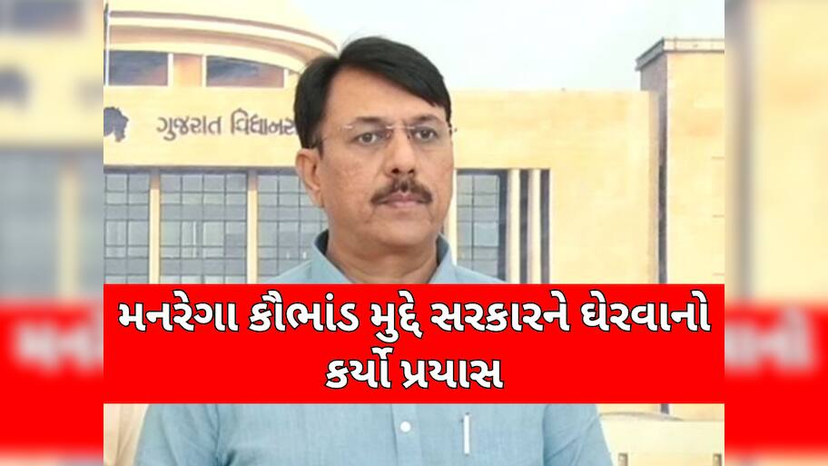 42000ની જ વસ્તી, 4 વર્ષમાં મનરેગામાં 300 કરોડનું ચુકવણું; અમિત ચાવડાએ કર્યા ગંભીર આક્ષેપ 