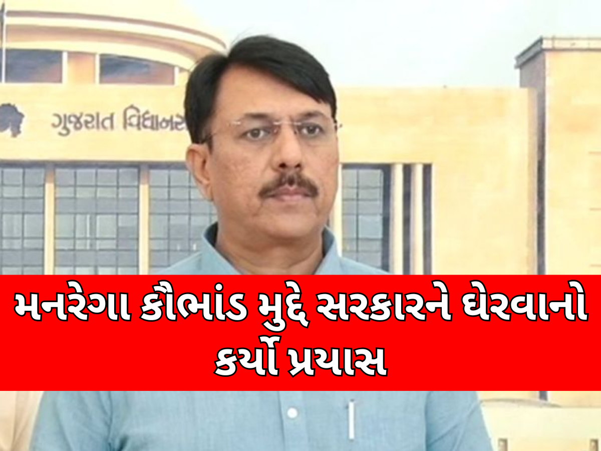 42000ની જ વસ્તી, 4 વર્ષમાં મનરેગામાં 300 કરોડનું ચુકવણું; અમિત ચાવડાએ કર્યા ગંભીર આક્ષેપ 42000ની જ વસ્તી, 4 વર્ષમાં મનરેગામાં 300 કરોડનું ચુકવણું; અમિત ચાવડાએ કર્યા ગંભીર આક્ષેપ