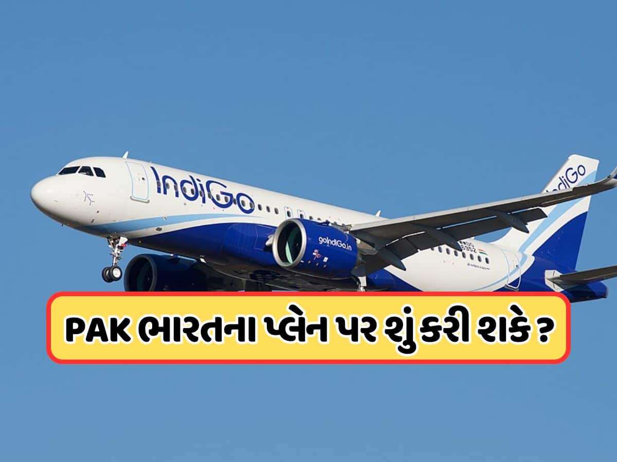 જો ઈન્ડિગોનું પ્લેન મંજૂરી વિના પાકિસ્તાનના એરસ્પેસમાં પ્રવેશ્યું હોત તો શું થાય? જાણો નિયમો 