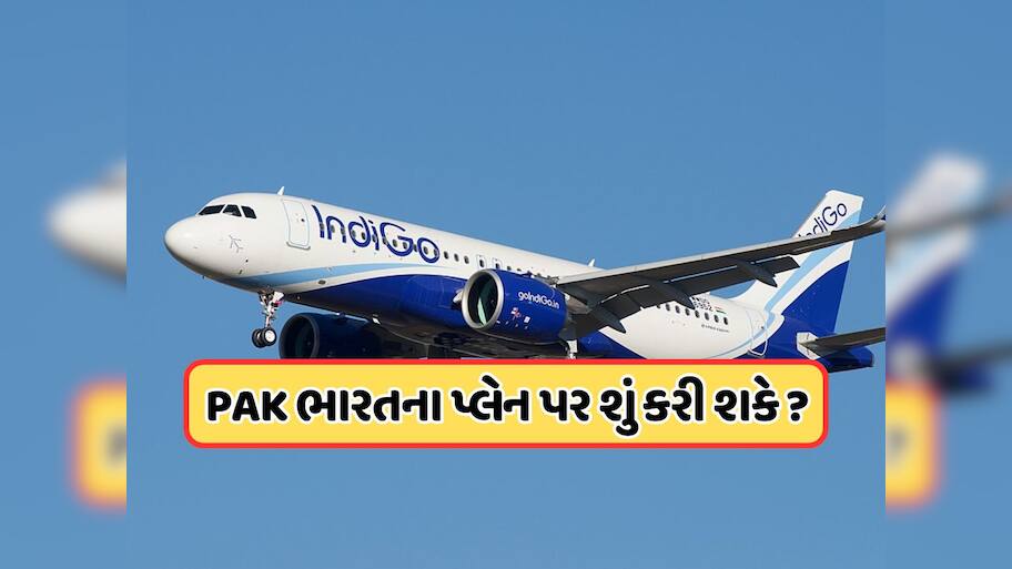 જો ઈન્ડિગોનું પ્લેન મંજૂરી વિના પાકિસ્તાનના એરસ્પેસમાં પ્રવેશ્યું હોત તો શું થાય? જાણો નિયમો 