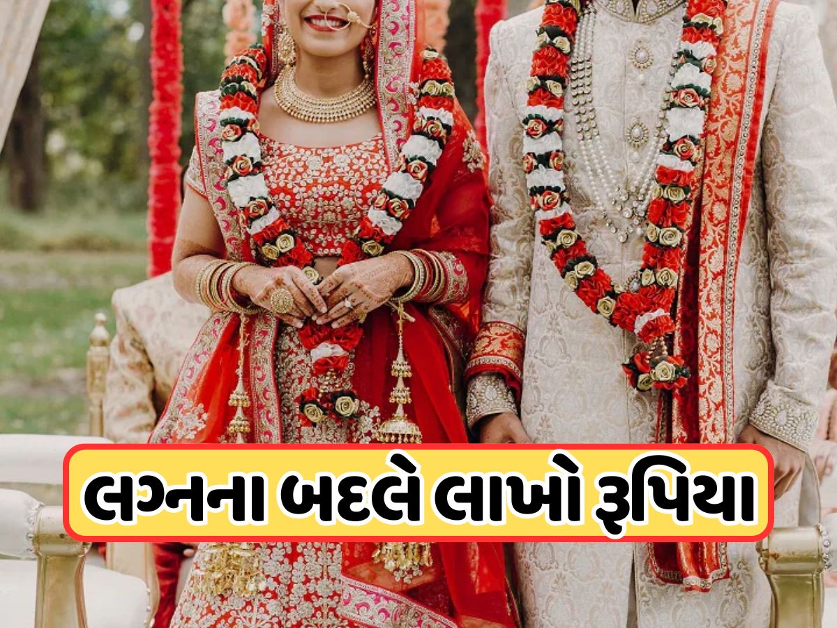 કુંવારા દોડજો ! તમે ખાલી લગ્ન માટે હા કહો... ડેટિંગ, સગાઈ અને એક રોમેન્ટિક હનીમૂન સાથે, લાખો રૂપિયા આપશે સરકાર