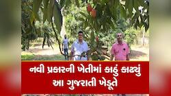 અશક્યને શક્ય બનાવ્યું આ ગુજરાતી ખેડૂતે, ઠંડા પ્રદેશનું ફળ ગુજરાતની ધરતી પર ઉગાડ્યું 
