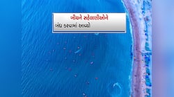 ગુજરાતના આ ફેમસ બીચ પર ત્રણ મહિના બંધ રહેશે તમામ એક્ટિવિટીઝ, જાણીને પ્રવાસ કરજો