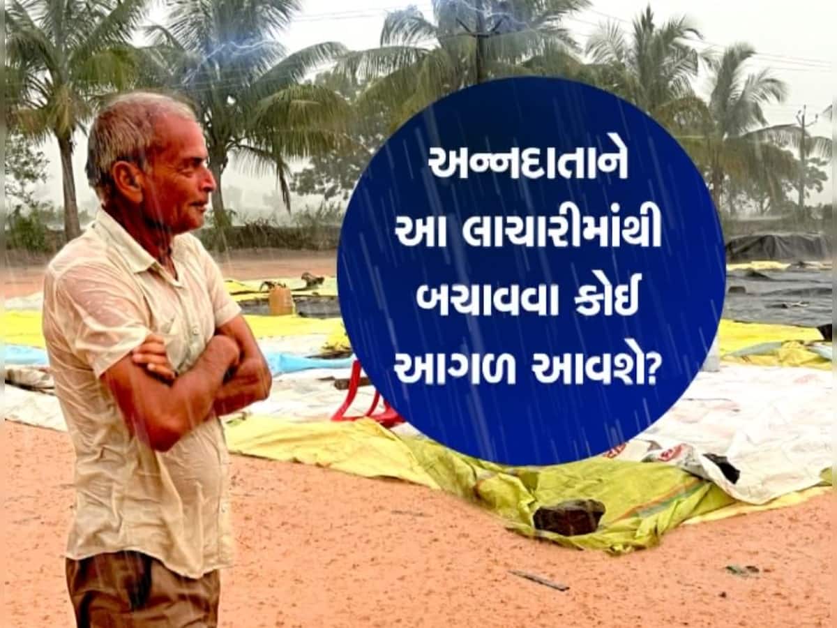  કમોસમી વરસાદે ધરતીપુત્રોને બરબાદ કરી દીધા, ડાંગરના પાકને ભારે નુકસાન, અન્નદાતાને રડવાનો વારો આવ્યો