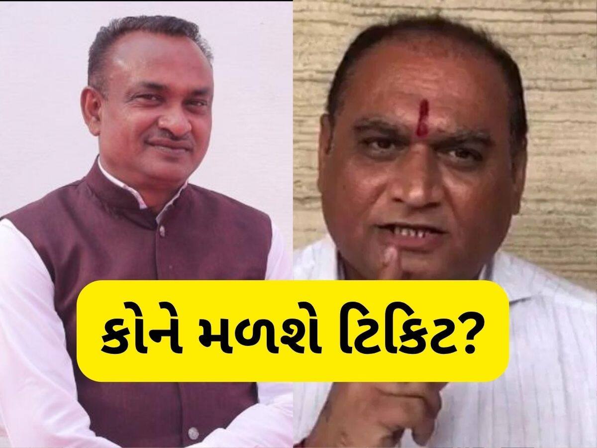  Visavadar By Election: વિસાવદર પેટાચૂંટણી માટે ભાજપમાં દાવેદારોનો રાફડો ફાટ્યો, આ છ નેતાઓએ નોંધાવી દાવેદારી