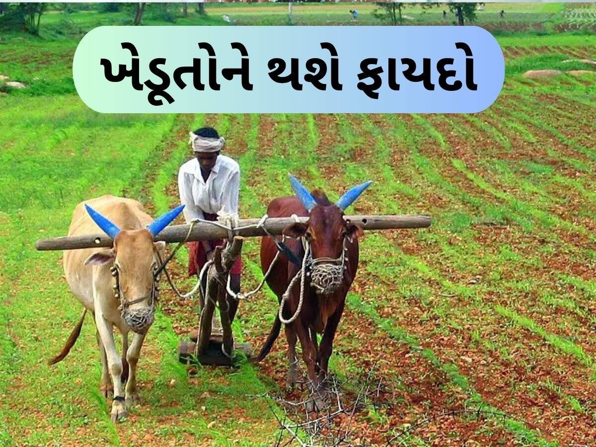 ખેડૂતો વાવેતર શરૂ કરે તે પહેલા ખરીફ પાકોનો ટેકાનો ભાવ જાહેર, 69થી 596 રૂપિયા સુધીનો વધારો