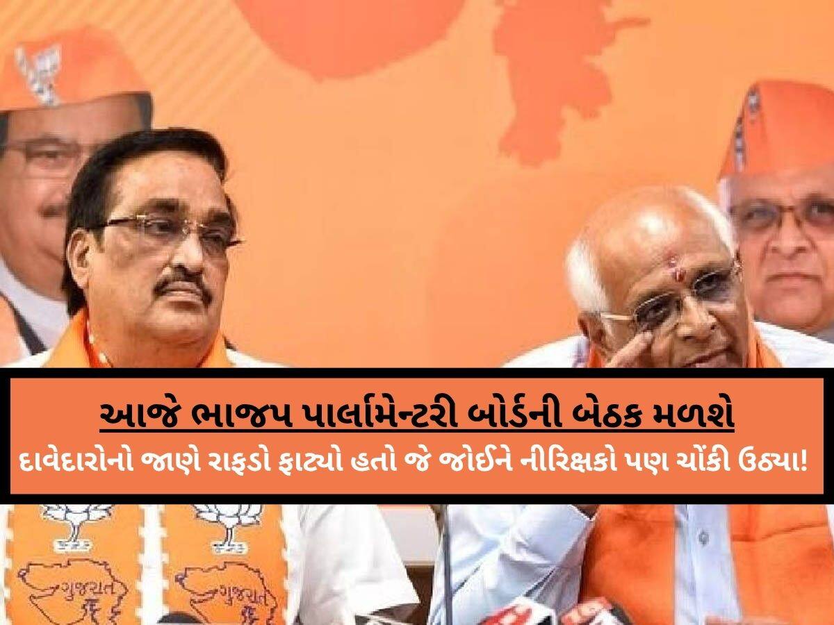 કોણ હશે ઉમેદવાર? કડી-વિસાવદર બંને બેઠકો પર આ દાવેદારોના ટોળા ઉમટતાં પ્રભારી ચોંક્યા!