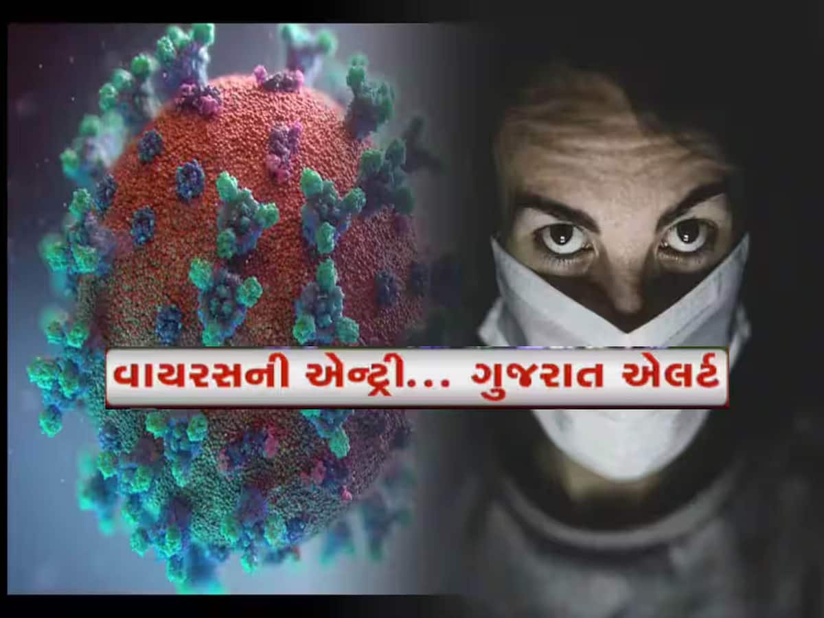 કોરોનાના ખતરા વચ્ચે ગુજરાતમાં ફરી આ વાયરસનો પગપેસારો! સેમ્પલ લઈ તપાસ માટે અમદાવાદ મોકલાયા