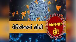 ભારતમાં દેખાવા લાગ્યો કોરોનાનો કહેર! ગુજરાત સહિત કયા રાજ્યમાં કેટલા પોઝિટીવ કેસ?