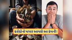 3 કરોડ પગાર, બુર્જ ખલીફા કરતા પણ વધુ શાનદાર વ્યૂ, તો પણ કોઈ નથી કરવા માગતું આ નોકરી