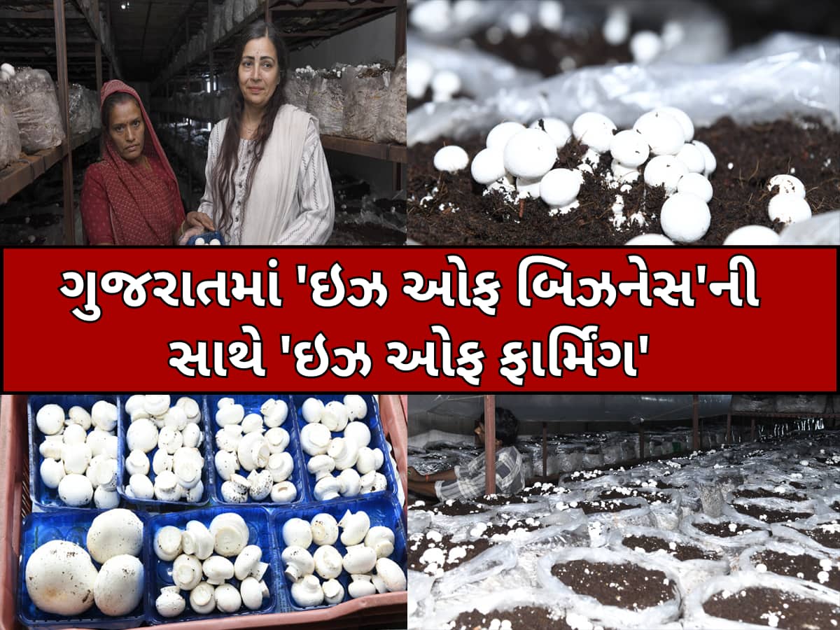 બેન્કરમાંથી બન્યાં ફાર્મર, આધુનિક ખેતી થકી મશરૂમની ખેતી કરીને આ મહિલા આજે કમાઈ છે કરોડો
