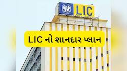 માત્ર 1 વખત પૈસા લગાવો અને આજીવન મળશે  ₹1,42,500 નું પેન્શન, LIC ની કમાલની સ્કીમ