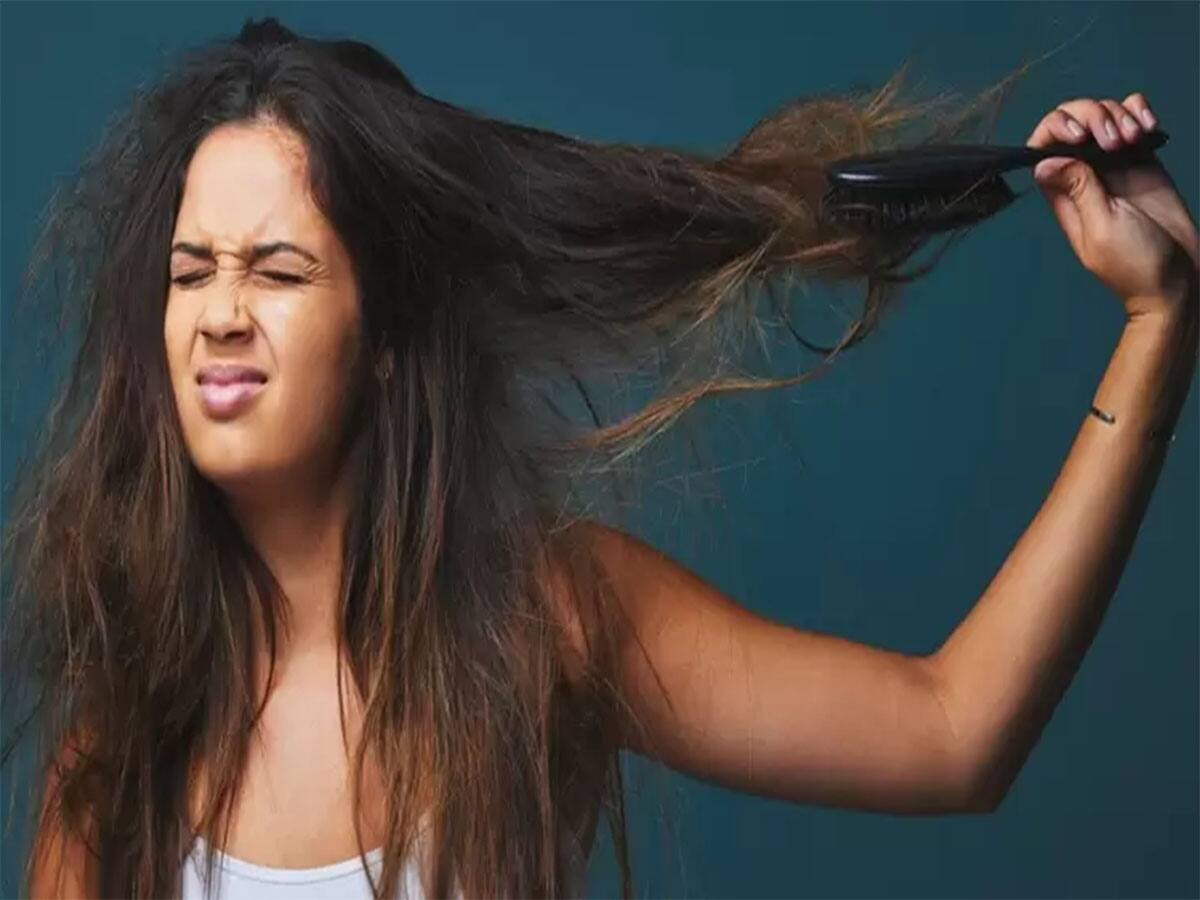Frizzy Hair: ફ્રીઝી હેર એકવારમાં જ દેખાશે સુપર સોફ્ટ, ટ્રાય કરો આ લાલ ફૂલનું હેર માસ્ક