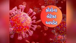 ભારતમાં 4,000 નજીક પહોંચ્યા કોરોનાના કેસ, ગુજરાત સહિત 8 રાજ્યો સૌથી વધુ પ્રભાવિત