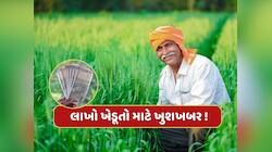 ખેડૂતો માટે ખુશીના સમાચાર....આ દિવસે આવશે PM કિસાન યોજનાનો 20મો હપ્તો