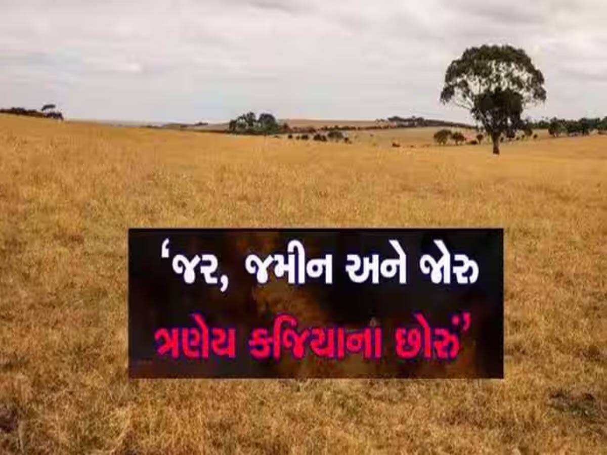 Chhota Udepur News: આ ઘટના વાંચીને રૂવાટાં ઉભા થઈ જશે! લોહિના ખાબોચ્યા ભરાયા! જમીનના ઝઘડામાં લોહિયાળ જંગ
