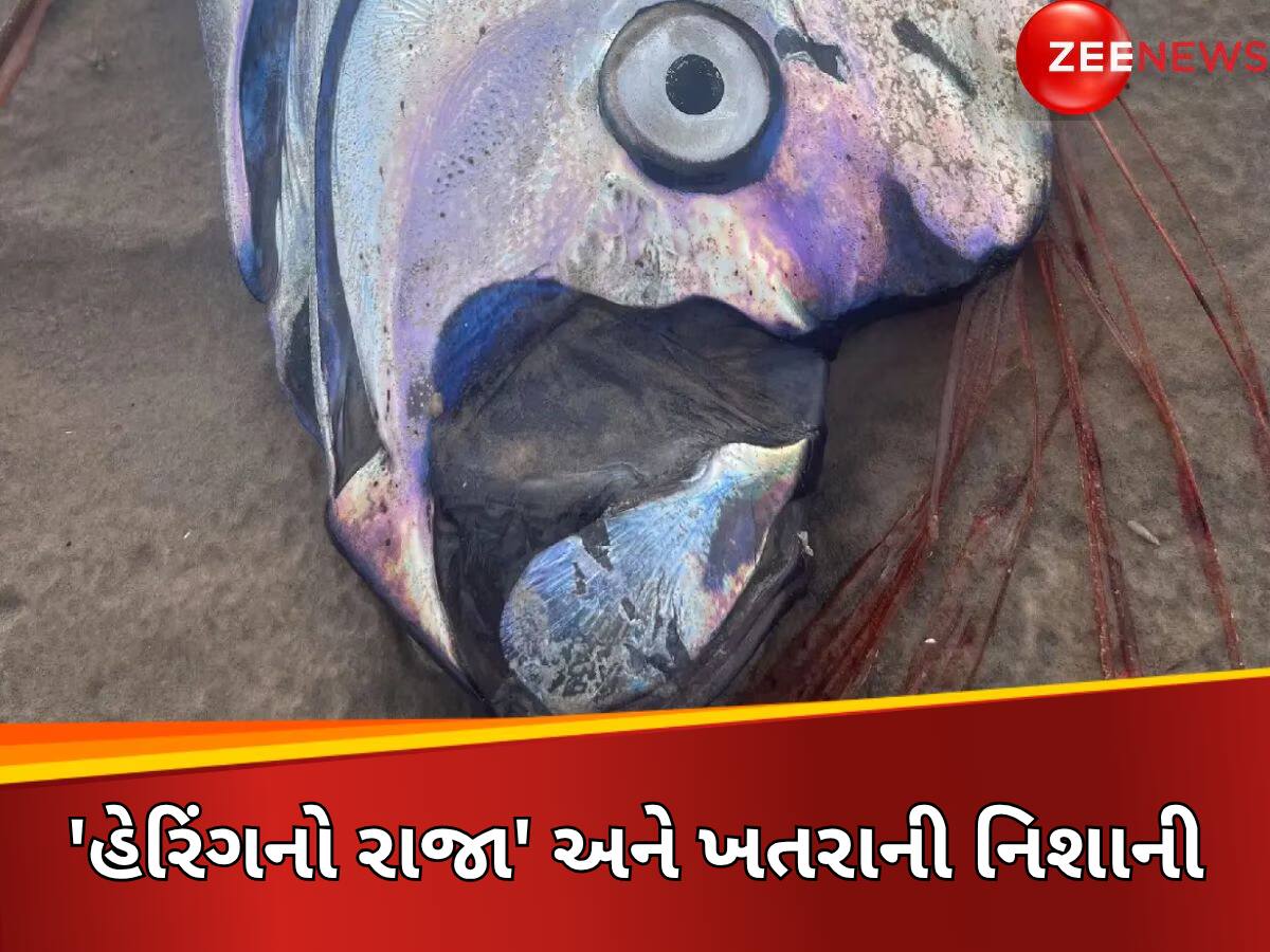 ફરી આવશે મોટી તબાહી! બધું જ થઈ જશે બરબાદ... ઓસ્ટેલિયામાં જોવા મળ્યો ખતરાનું મોટું નિશાન!