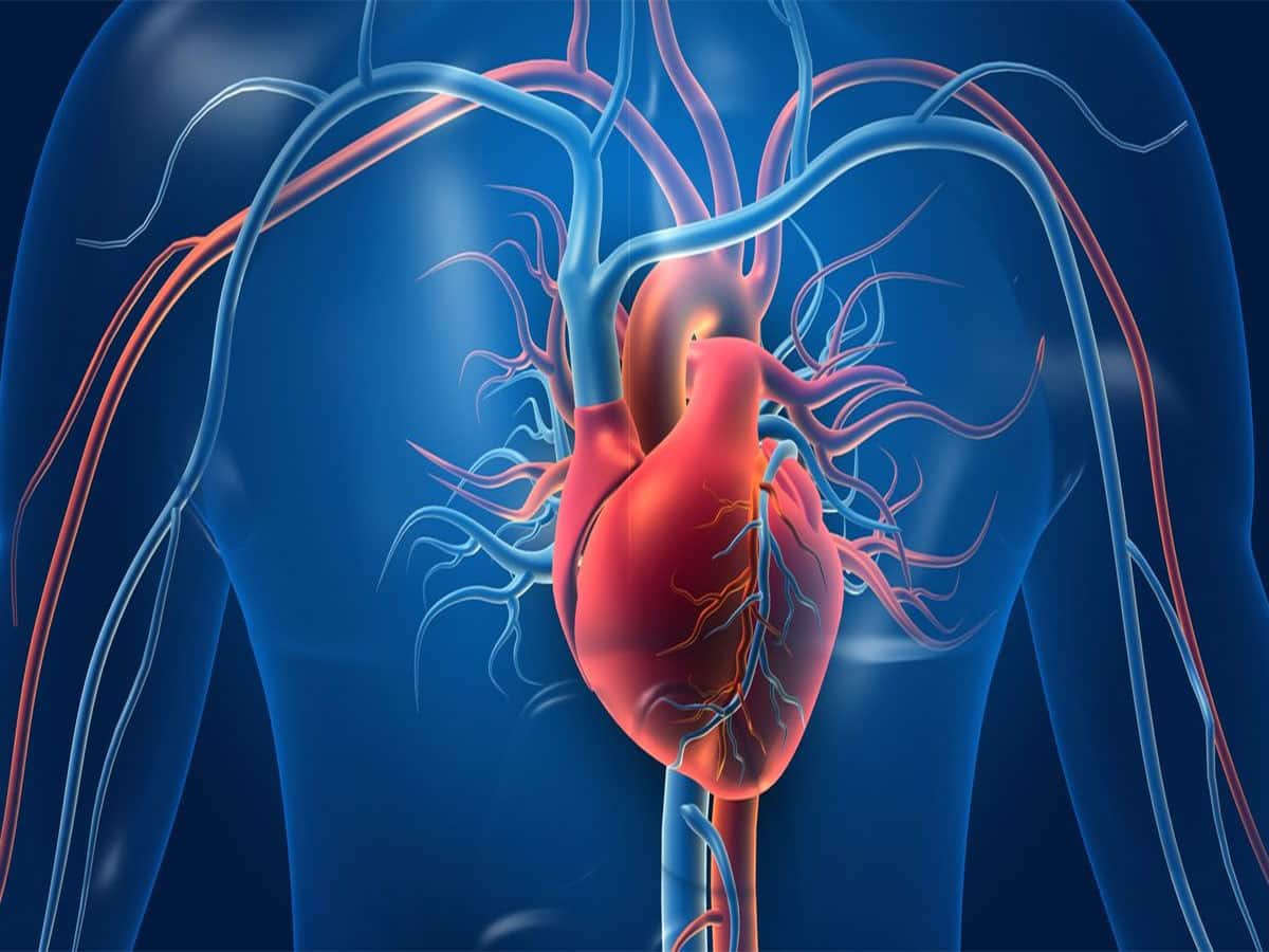 Ischemic Heart: કોવિડ કરતાં પણ ઘાતક છે આ બીમારી, હૃદય થઈ જાય પથ્થર જેવું કઠણ, જાણો લક્ષણો અને ઉપાય વિશે