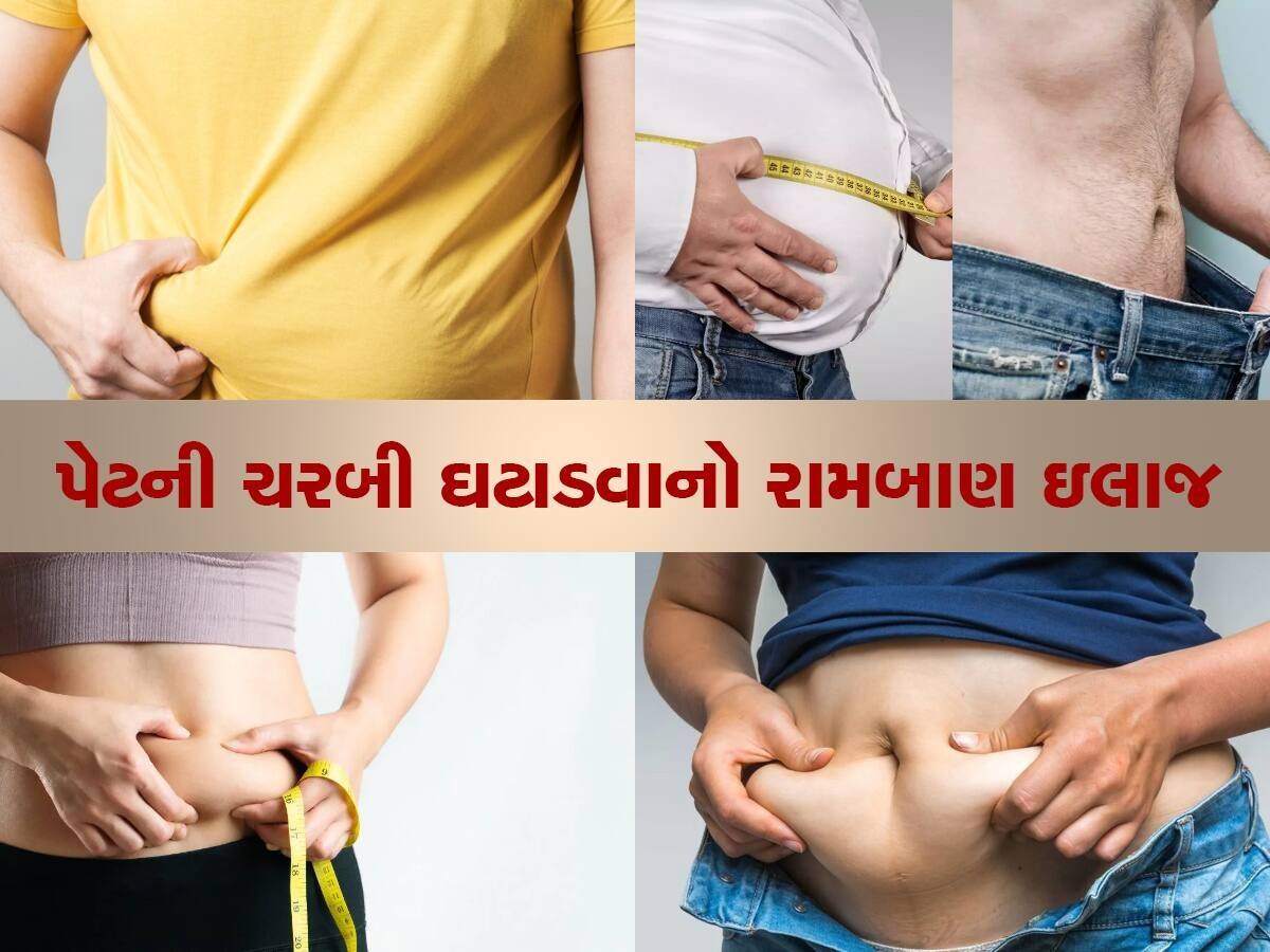  શરીરમાં જમા થયેલી હઠીલી ચરબી ઓગળી જશે, આ વસ્તુઓને દહીંમાં ભેળવીને ખાઓ