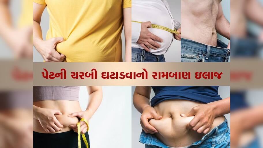  શરીરમાં જમા થયેલી હઠીલી ચરબી ઓગળી જશે, આ વસ્તુઓને દહીંમાં ભેળવીને ખાઓ