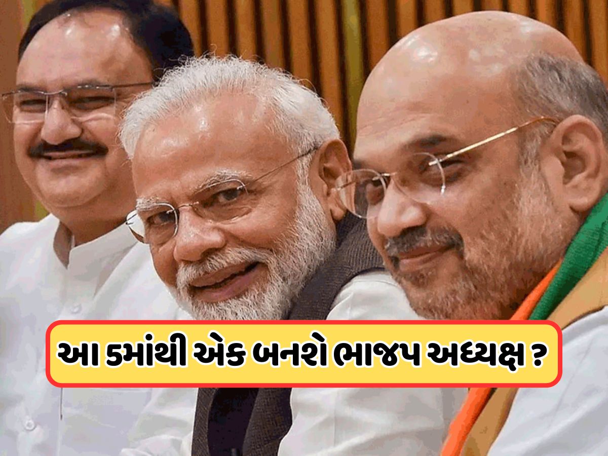 BJP President: જુલાઈમાં ભાજપને મળશે નવા રાષ્ટ્રીય અધ્યક્ષ, બધું જ છે ફાઈનલ! આ 5 નામ સૌથી આગળ