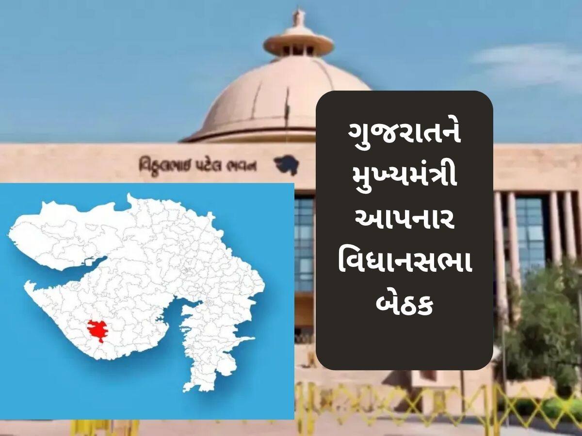  1960થી 2025 સુધી...... વિસાવદર વિધાનસભા સીટનો ઈતિહાસ, જાણો કોણ ક્યારે જીત્યું ચૂંટણી
