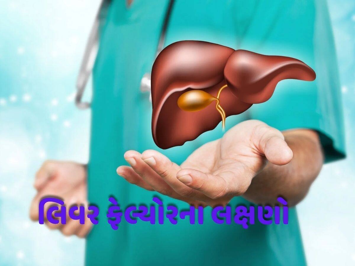  લિવર ખરાબ હોવાની મોટી ચેતવણી! શરીરમાં આ 4 લક્ષણ જોવા મળે તો થઈ જાવ સાવધાન, તાત્કાલિક ડોક્ટરનો સંપર્ક કરો