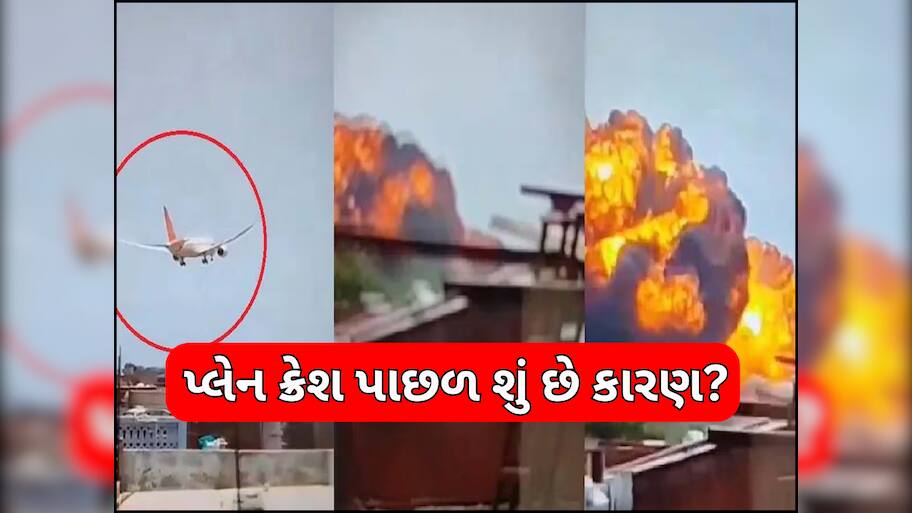 Ahmedabad Plane Crash: ટેક-ઓફ પહેલા 'બર્ડ હિટ', સ્પીડ ન પકડી શક્યું પ્લેન! એર ઈન્ડિયા પ્લેન ક્રેશ પર શું બોલ્યા એકસપર્ટ?