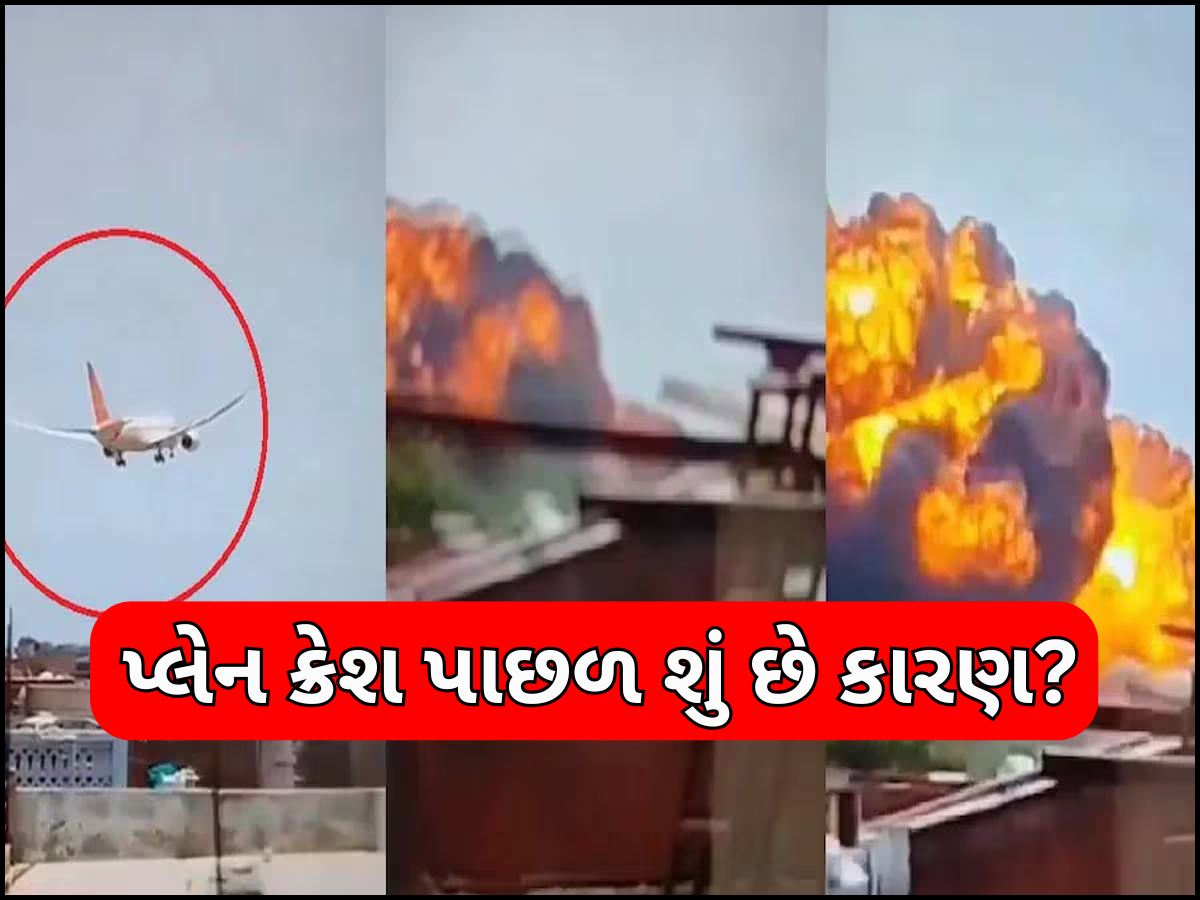 Ahmedabad Plane Crash: ટેક-ઓફ પહેલા 'બર્ડ હિટ', સ્પીડ ન પકડી શક્યું પ્લેન! એર ઈન્ડિયા પ્લેન ક્રેશ પર શું બોલ્યા એકસપર્ટ? Ahmedabad Plane Crash: ટેક-ઓફ પહેલા 'બર્ડ હિટ', સ્પીડ ન પકડી શક્યું પ્લેન! એર ઈન્ડિયા પ્લેન ક્રેશ પર શું બોલ્યા એકસપર્ટ?