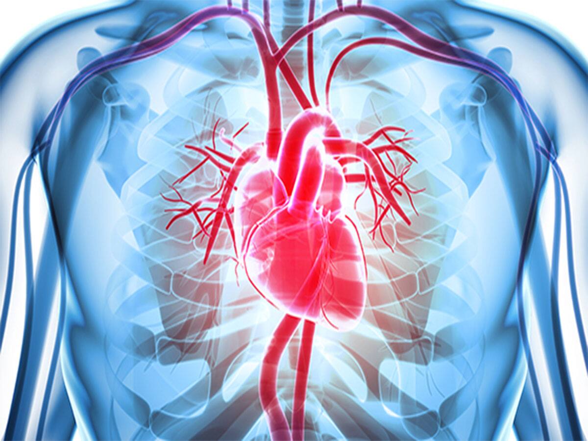 Heart Attack: હાર્ટ એટેક આવે તેની 2 મિનિટની અંદર આ કામ કરવામાં આવે તો ટળી શકે છે મોત