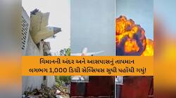 પ્લેન ક્રેશ બાદ ખૌફનાક હતું મંજર! 1000 ડિગ્રી સુધી ગરમી...શ્વાન-પક્ષીઓ પણ ભસ્મ થયા!