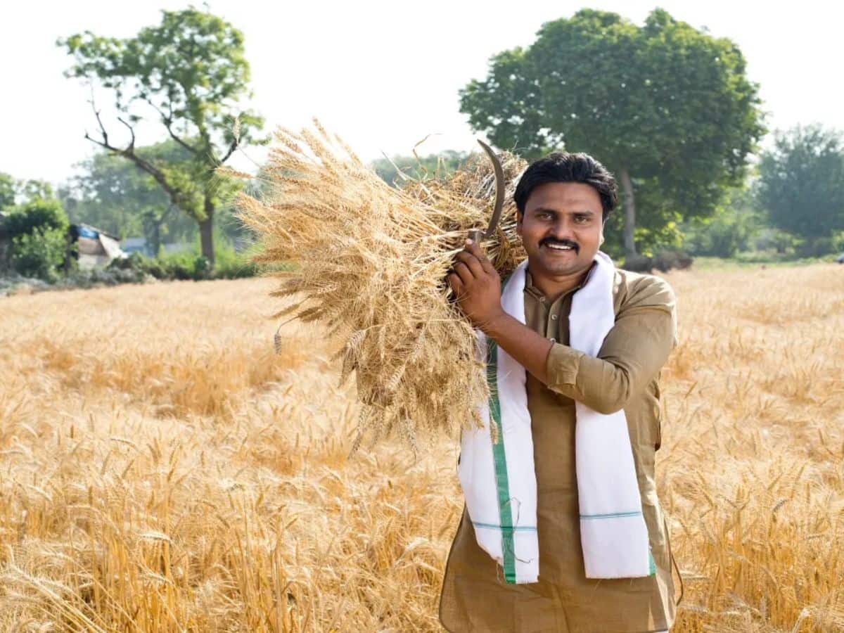 છબી