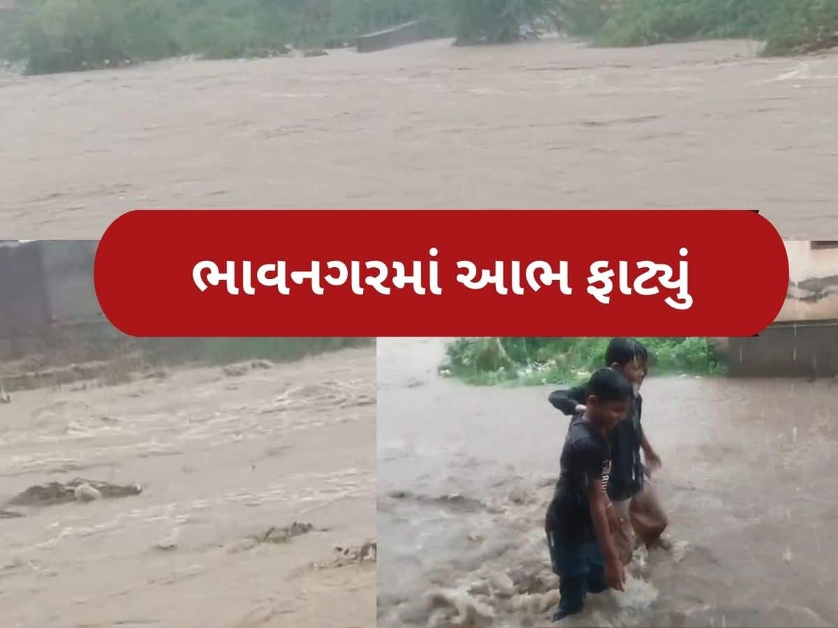 ભાવનગરમાં જળબંબાકાર, અનેક જગ્યાએ પાણી ભરાયા, જેસરમાં 9 ઈંચ, પાલિતાણા અને મહુવામાં 7-7 ઈંચ વરસાદ