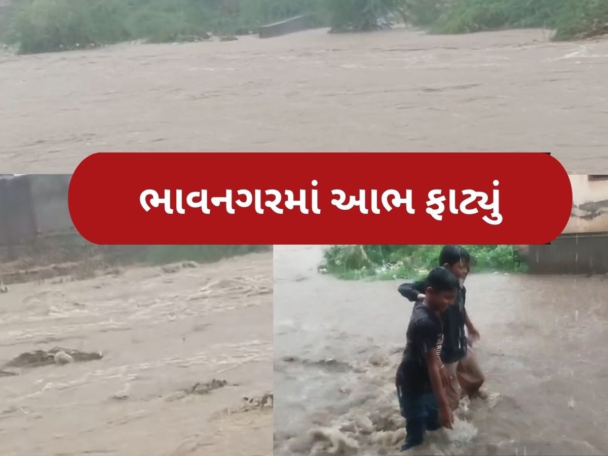 ભાવનગરમાં જળબંબાકાર, અનેક જગ્યાએ પાણી ભરાયા, જેસરમાં 9 ઈંચ, પાલિતાણા અને મહુવામાં 7-7 ઈંચ વરસાદ ભાવનગરમાં જળબંબાકાર, અનેક જગ્યાએ પાણી ભરાયા, જેસરમાં 9 ઈંચ, પાલિતાણા અને મહુવામાં 7-7 ઈંચ વરસાદ