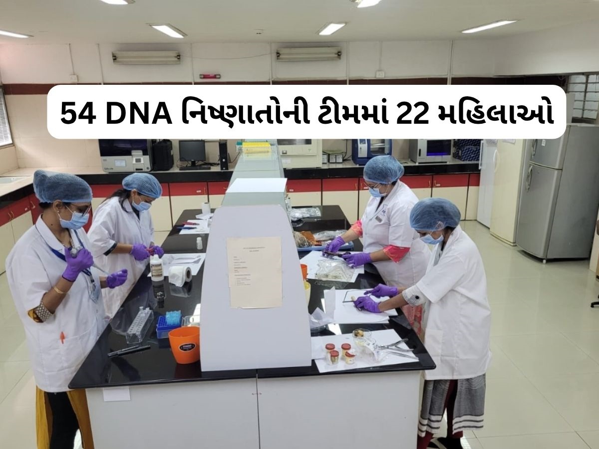 Ahmedabad plane crash: દિવસ-રાત ભૂલીને કરી રહ્યા છે DNA પ્રોફાઈલીંગની જટીલ કામગીરી, FSL ટીમની શાનદાર કામગીરી Ahmedabad plane crash: દિવસ-રાત ભૂલીને કરી રહ્યા છે DNA પ્રોફાઈલીંગની જટીલ કામગીરી, FSL ટીમની શાનદાર કામગીરી