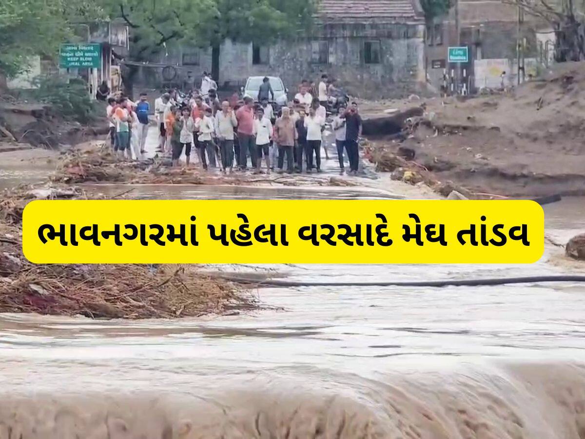 ભાવનગરથી વરસાદના લેટેસ્ટ અપડેટ, 14 ઈંચ વરસાદથી બોટાદ ડૂબ્યું, પાલિતાણામાં જળબંબાકારની સ્થિતિ