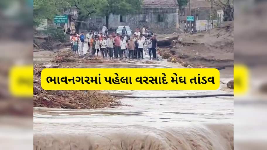 ભાવનગરથી વરસાદના લેટેસ્ટ અપડેટ, 14 ઈંચ વરસાદથી બોટાદ ડૂબ્યું, પાલિતાણામાં જળબંબાકારની સ્થિતિ