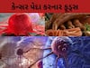  અલ્ટ્રા-પ્રોસેસ્ડ મીટ