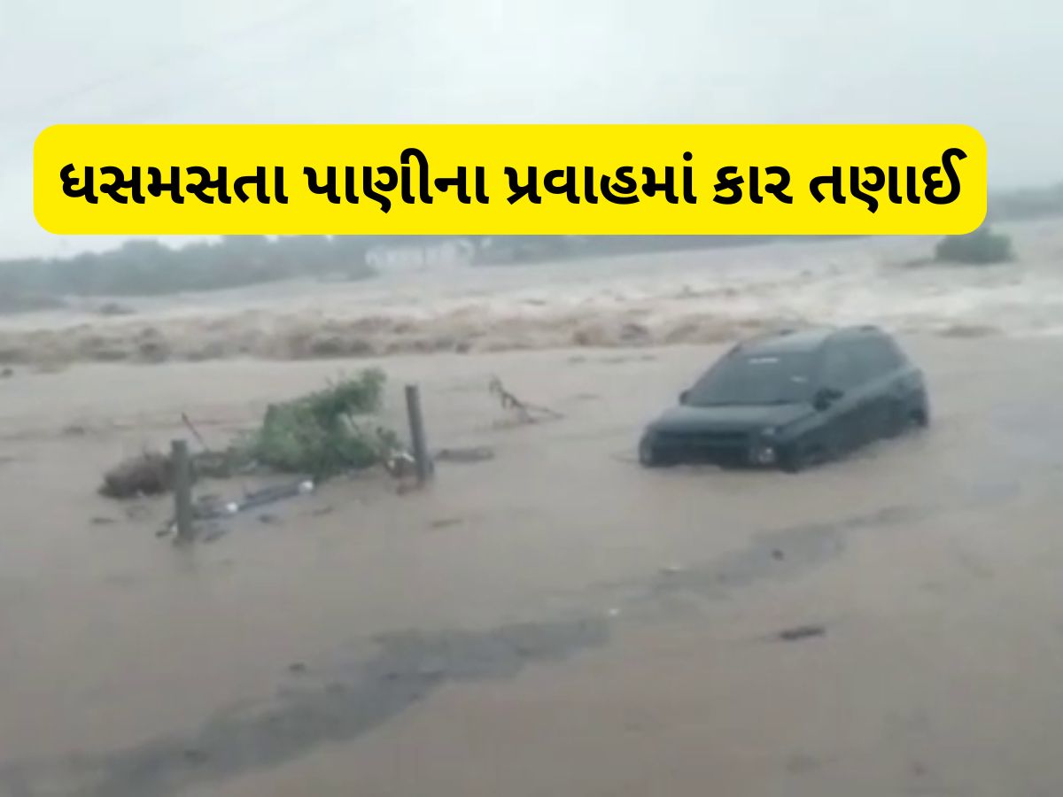 Bhavnagar Rain: લાઠીદડનો ચૌહાણ પરિવાર પૂરના પાણીમાં તણાયો, કારમાં સવાર 9 માંથી માત્ર 2 ને બચાવી લેવાયા Bhavnagar Rain: લાઠીદડનો ચૌહાણ પરિવાર પૂરના પાણીમાં તણાયો, કારમાં સવાર 9 માંથી માત્ર 2 ને બચાવી લેવાયા