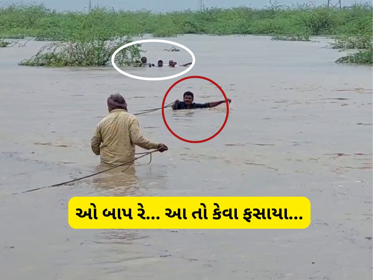 ભાવનગરમાં પૂરના ભયાવહ દ્રશ્યો : રેસ્ક્યૂ કરવા ગયેલા 3 તરવૈયા ફસાયા, PI દોરડું બાંધી પાણીમાં કૂદી પડ્યા ભાવનગરમાં પૂરના ભયાવહ દ્રશ્યો : રેસ્ક્યૂ કરવા ગયેલા 3 તરવૈયા ફસાયા, PI દોરડું બાંધી પાણીમાં કૂદી પડ્યા