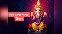 Budhwar ke Upay: નોકરી-વેપારમાં લાભ માટે બુધવારના દિવસે કરો આ અચૂક ઉપાય