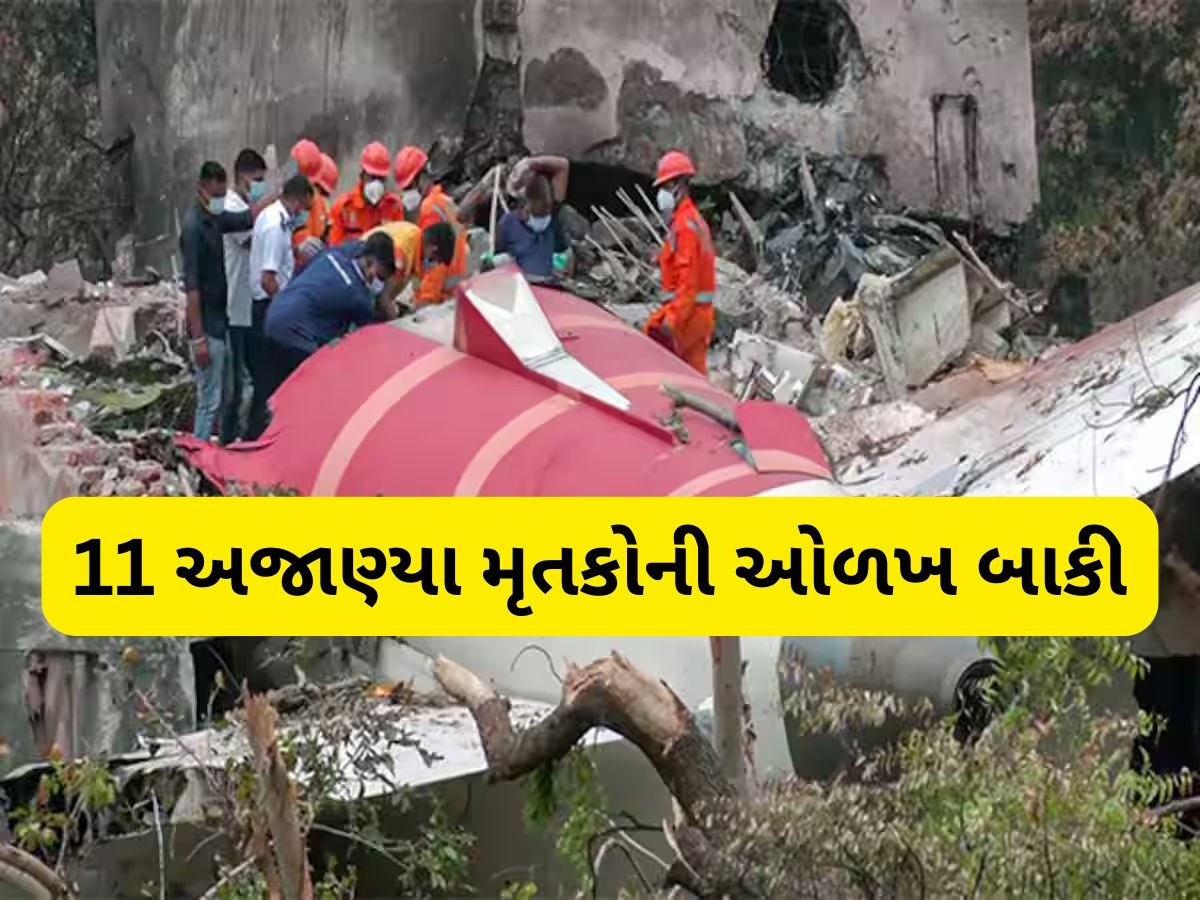 Ahmedabad plane crash: વિમાન દુર્ઘટનામાં પ્રવાસી સિવાયના 11 મૃતદેહો કોણ? ઓળખ માટે પોલીસે શરૂ કરી કવાયત Ahmedabad plane crash: વિમાન દુર્ઘટનામાં પ્રવાસી સિવાયના 11 મૃતદેહો કોણ? ઓળખ માટે પોલીસે શરૂ કરી કવાયત