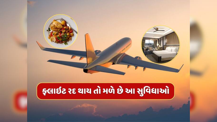 નાસ્તો, જમવાનું, હોટેલમાં રહેવાની વ્યવસ્થા...જો ફ્લાઇટ રદ થાય કે મોડી પડે તો મળે છે આ સુવિધાઓ, જાણી લો નિયમ