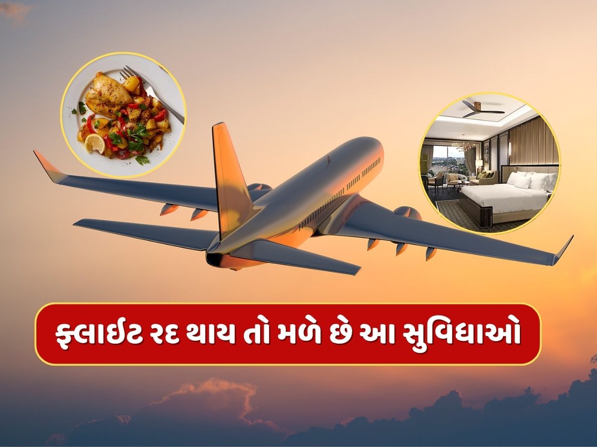 નાસ્તો, જમવાનું, હોટેલમાં રહેવાની વ્યવસ્થા...જો ફ્લાઇટ રદ થાય કે મોડી પડે તો મળે છે આ સુવિધાઓ, જાણી લો નિયમ નાસ્તો, જમવાનું, હોટેલમાં રહેવાની વ્યવસ્થા...જો ફ્લાઇટ રદ થાય કે મોડી પડે તો મળે છે આ સુવિધાઓ, જાણી લો નિયમ