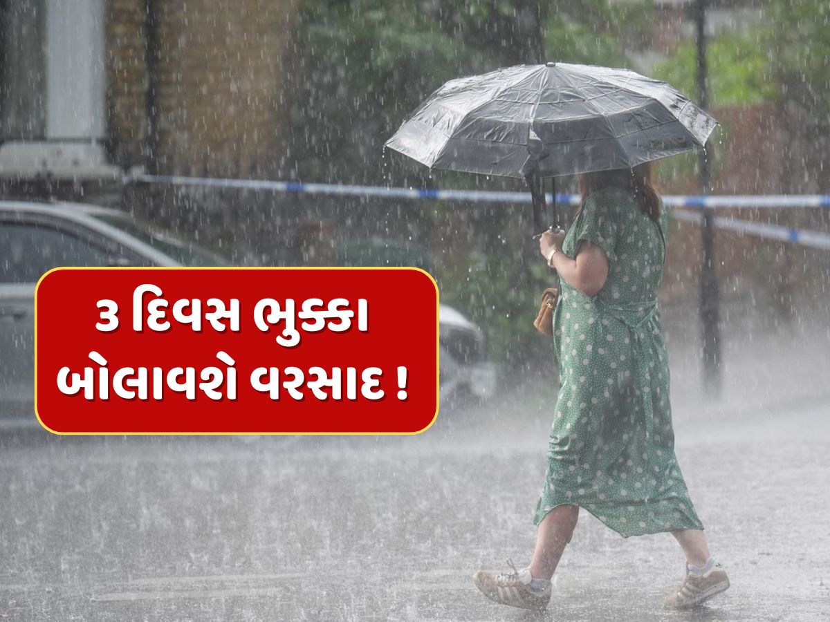 IMD Rain Alert : આગામી 3 દિવસ ભારે ! તૂટી પડશે ધોધમાર વરસાદ, અપાયું રેડ એલર્ટ IMD Rain Alert : આગામી 3 દિવસ ભારે ! તૂટી પડશે ધોધમાર વરસાદ, અપાયું રેડ એલર્ટ