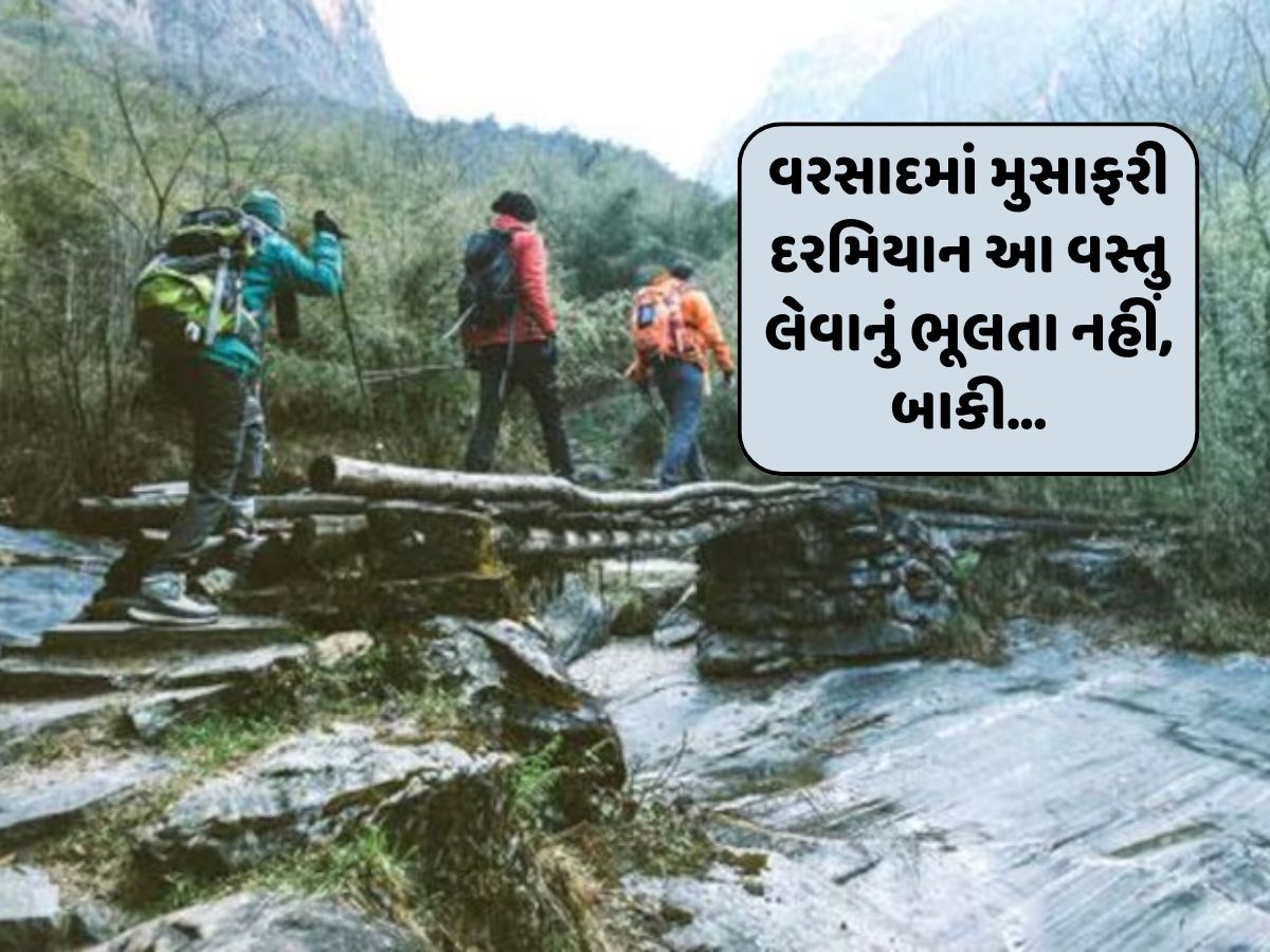 વરસાદમાં ટ્રેકિંગની મજા માણતાં આ એક ચીજવસ્તુ તો ખાસ રાખવી, તમારી યાત્રા સુરક્ષિત બનશે... વરસાદમાં ટ્રેકિંગની મજા માણતાં આ એક ચીજવસ્તુ તો ખાસ રાખવી, તમારી યાત્રા સુરક્ષિત બનશે...