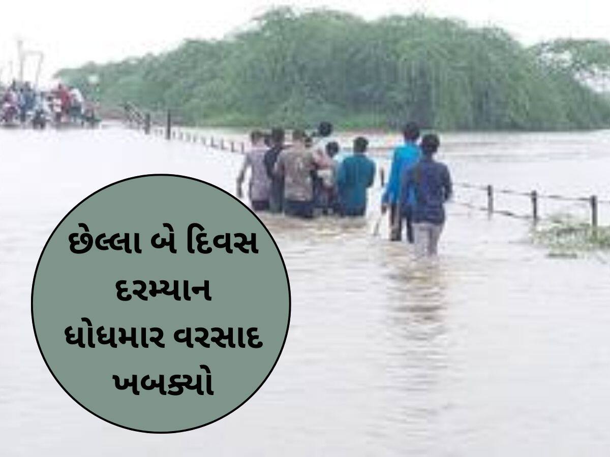 ગુજરાતના આ જિલ્લામાં ધોધમાર વરસાદ; પાણીમાં ફસાયેલા 58 લોકોનું કરાયું દિલધડક રેસ્ક્યું!