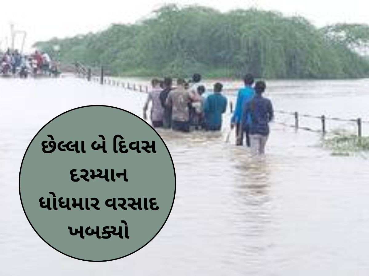 ગુજરાતના આ જિલ્લામાં ધોધમાર વરસાદ; પાણીમાં ફસાયેલા 58 લોકોનું કરાયું દિલધડક રેસ્ક્યું! ગુજરાતના આ જિલ્લામાં ધોધમાર વરસાદ; પાણીમાં ફસાયેલા 58 લોકોનું કરાયું દિલધડક રેસ્ક્યું!